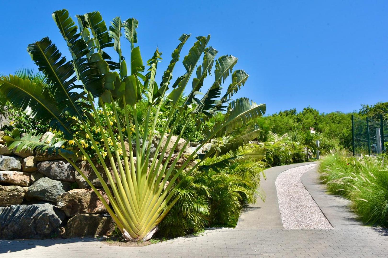 Orient Bay - Amazing Sea View - House 3Bd And 4Bd - Apartment 1 Bd Sea View - 1 Studio View Mountain Quarter of Orleans Buitenkant foto